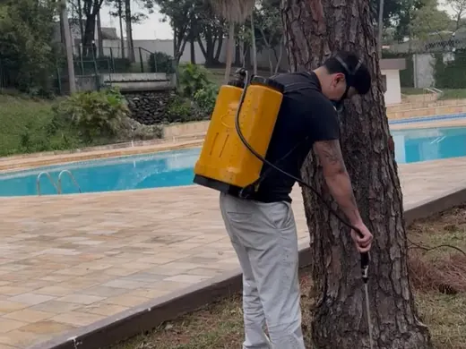 Aplicação de produto nas raízes de árvore